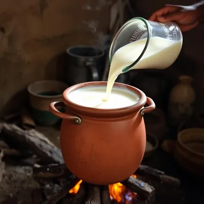 Heating Milk & Setting Curd